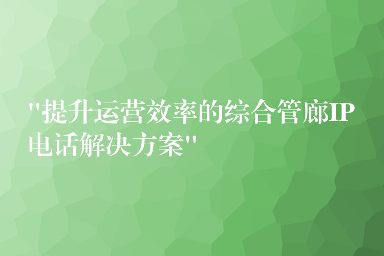  “提升運(yùn)營(yíng)效率的綜合管廊IP電話(huà)解決方案”