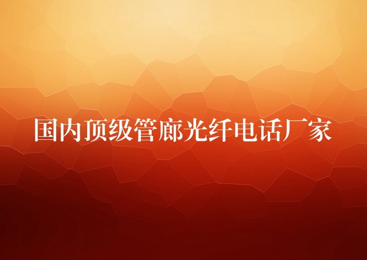 國內(nèi)頂級管廊光纖電話廠家