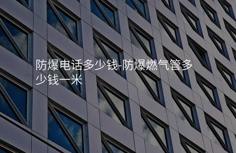  防爆電話(huà)多少錢(qián)-防爆燃?xì)夤芏嗌馘X(qián)一米