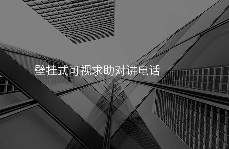  壁掛式可視求助對(duì)講電話