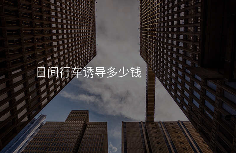  日間行車誘導(dǎo)多少錢